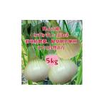 fu.... налог овощи вид шар лук порей префектура Okayama город Okayama Okayama город производство шар лук порей 5kg( размер смешивание ) культивирование период средний пестициды * убийца сорняков не использование все природа. сила здоровье овощи 