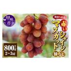 ショッピングふるさと納税 シャインマスカット ふるさと納税 ぶどう 山梨県 甲州市 赤いシャインマスカット（種無し）800g以上 2〜3房 朝採り直送（クイーンマスカット・サンシャインレッド・紅シャイン2号…