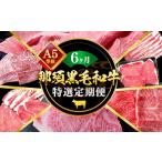 牛肉 セット 定期便6ヵ月 A5等級 那須黒毛和牛