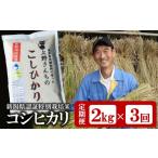 定期便 コシヒカリ 無洗米 6kg