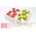果物の詰合せ りんご サンふじ 2kg