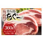 豚肉 ハンバーグ 美ら島あぐー豚 ロースステーキ 合計360g