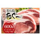 豚肉 ハンバーグ 美ら島あぐー豚 ロースステーキ 合計600g