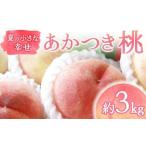 ふるさと納税 もも 福