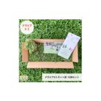 ふるさと納税 花・苗木 盆栽 栃木県 小山市 グランドカバー植物「クラピアK3」ポット苗10ポットセット お申込書返信後、ご希望日に合わせて発送 1570189