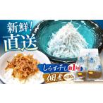 魚貝類 しらす しらす干し 約1kg と佃煮 約100g セット