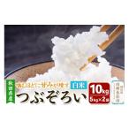 米 あきたこまち 白米 つぶぞろい 10kg