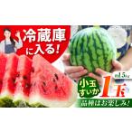 メロン 小玉スイカ 3L以上