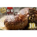 ふるさと納税 牛肉 ハンバーグ 大阪府 泉佐野市 牛肉100% 特製ハンバーグ 120g×10個 個包装