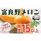 ふるさと納税 メロン メロン赤肉 北海道 上富良野町 2025年発送 2ヵ月定期便 富良野 高糖度 赤肉メロン 1玉 2回 お届け 約1.6kg 〜 2.0kg うっちーfarm 北海…