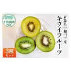 果物類 先行受付 キウイフルーツ3種セット 約1.5kg