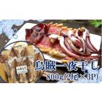 ふるさと納税 干物 イカ 大分県 国東市 絶品 磯武の国産肉厚烏賊 一夜干し800g ( 2尾×3P )_1833R