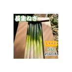 fu.... налог овощи вид лук порей Chiba префектура длина рисунок блок Chiba префектура длина рисунок блок производство [ длина сырой лук порей ]L размер 5kg( примерно 40шт.@) 1580616