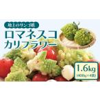 野菜類 冷凍カットロマネスコカリフラワー 400g×4袋