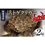 ふるさと納税 カニ 活ガニ 青森県 平内町 陸奥湾産 活トゲクリガニ (メス) 約2kg (10〜20杯) 飛佳丸 漁師直送 かに カニ 蟹 魚介 青森 青森県 東北 むつ湾 F21…