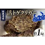 ふるさと納税 カニ 活ガニ 青森県 平内町 陸奥湾産 活トゲクリガニ (オス) 約1kg (4〜6杯) 飛佳丸 漁師直送 かに カニ 蟹 魚介 青森 青森県 東北 むつ湾 F21J-…