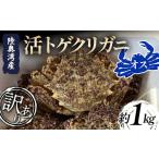 ふるさと納税 カニ 活ガニ 青森県 平内町  訳あり 陸奥湾産 活トゲクリガニ (オス) 約1kg (4〜6杯) 飛佳丸 漁師直送 かに カニ 蟹 魚介 青森 青森県 東北 むつ…