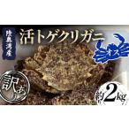 ふるさと納税 カニ 活ガニ 青森県 平内町 訳あり 陸奥湾産 活トゲクリガニ (オス) 約2kg (8〜12杯) 飛佳丸 漁師直送 かに カニ 蟹 魚介 青森 青森県 東北 む…