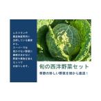 fu.... налог комплект *... три слоя префектура много . блок .. запад овощи комплект A(6 вид примерно )YA-02