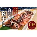 干物 イカ 八戸産 一夜干し 1パック