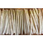 fu.... налог овощи вид спаржа Hokkaido Akai река .[M] есть перевод 1kg.... san .. белый aspala