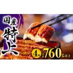 ふるさと納税 うなぎ 宮崎県 宮崎市 九州産うなぎ蒲焼4尾（計760g以上＆さんしょう、たれ付き）人気 鰻 うなぎ ウナギ 国産 国産鰻 国産うなぎ 丑の日 うなぎ…
