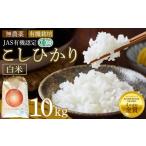 白米 10kg