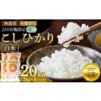 玄米 20kg