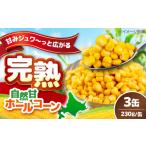 缶詰 瓶詰 野菜類 \リピーター続出 自然甘ホールコーン 3缶