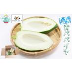 野菜類 〈便利な小分け〉 冷凍 青パパイヤ 約2kg