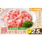 豚肉 毎月6回定期便 訳あり 豚 切り落とし 2.5kg×6回