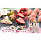 乾物 南房総館山フリーズドライフルーツ3種類