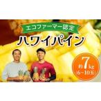 果物の詰合せ ハワイパイン約7kg 約7kg