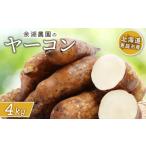人参 大根 他根菜 余湖農園のヤーコン4kg