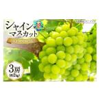 ショッピングふるさと納税 シャインマスカット ふるさと納税 ぶどう マスカット 山梨県 韮崎市  2026年発送 シャインマスカット 2026 予約 高級 3房 約2kgシャインマスカット 山梨 シャイン マスカット やま…