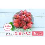ふるさと納税 いちご 茨城県 常総市 訳あり 冷凍いちご 3kg (1kg×3袋) いちごイチゴ 苺 冷凍 シェイク スムージー 冷たい グランベリー大地 茨城県 常総市 …