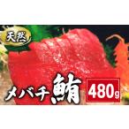 マグロ 天然 メバチまぐろ切身 480g