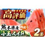スイカ 小玉スイカ 赤色 2玉