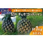 果物類 バナナの医学 石垣島産 島バナナ 約1kg