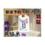 ふるさと納税 米 コシ�