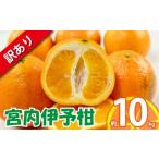 ふるさと納税 みかん・柑橘類 愛媛県 松山市 訳あり 宮内伊予柑 約10kg 2026年1月下旬から順次発送 | 訳あり みかん 訳あり柑橘 訳あり商品 伊予柑 いよかん …