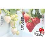 ふるさと納税 いちご 埼玉県 加須市 発送〜5月 天使のいちご、あまりん2種食べ比べ 天使のいちご あまりん 苺 あまりん イチゴ おおきい スイーツ あかい …