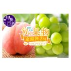 ふるさと納税 果物の詰合せ 山梨県 甲州市  定期便 新鮮産直 甲州市・桃とシャインマスカット2回定期便 2026年発送 （KSF）B16-126 桃 もも シャインマスカッ…