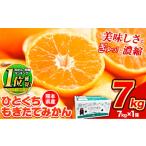 ふるさと納税 果物類 みかん 熊本県 荒尾市 2025年先行予約 訳あり みかん ひとくちもぎたてみかん 約 7kg (7kg×1箱) S-3Sサイズ 訳あり ご家庭用 熊本県産 …