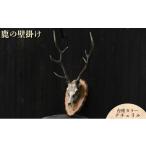 木工品 竹工品 鹿の壁掛け 台座カラー:ナチュラル