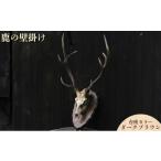 木工品 竹工品 鹿の壁掛け 台座カラー:ダークブラウン