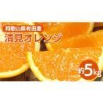 有田の清見 約5kg