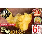 ショッピングふるさと納税 訳あり 不揃い ふるさと納税 野菜類 サツマイモ 鹿児島県 日置市 No.560-A 訳あり・不揃い 鹿児島県日置市産さつまいも 熟成紅はるか(約6kg) 国産 九州産 サツマイモ さつま…