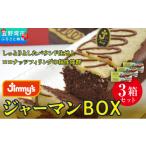 ケーキ カステラ ジャーマンBOX 3箱セット