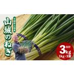 fu.... налог овощи вид лук порей Kyoto (столичный округ) дерево Цу река город гора замок. лук порей 3kg столица овощи лук порей гора замок. лук порей Kyoto (столичный округ) дерево Цу река город лук порей 001-14